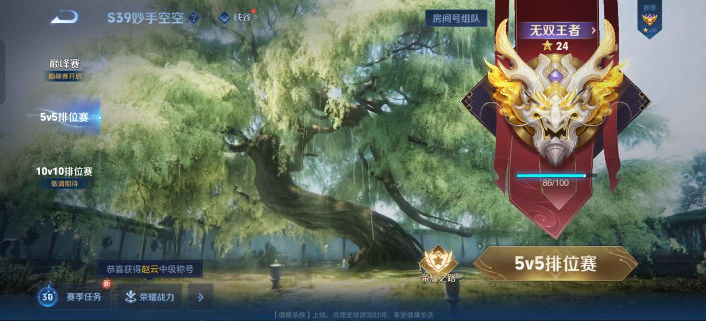 WZKM3155996王者荣耀账号详情图8 WZKM3155996王者荣耀账号详情图8