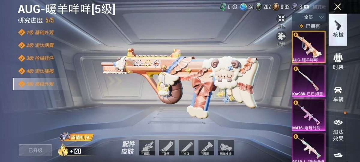 HPKM3326198和平精英账号详情图5 HPKM3326198和平精英账号详情图5